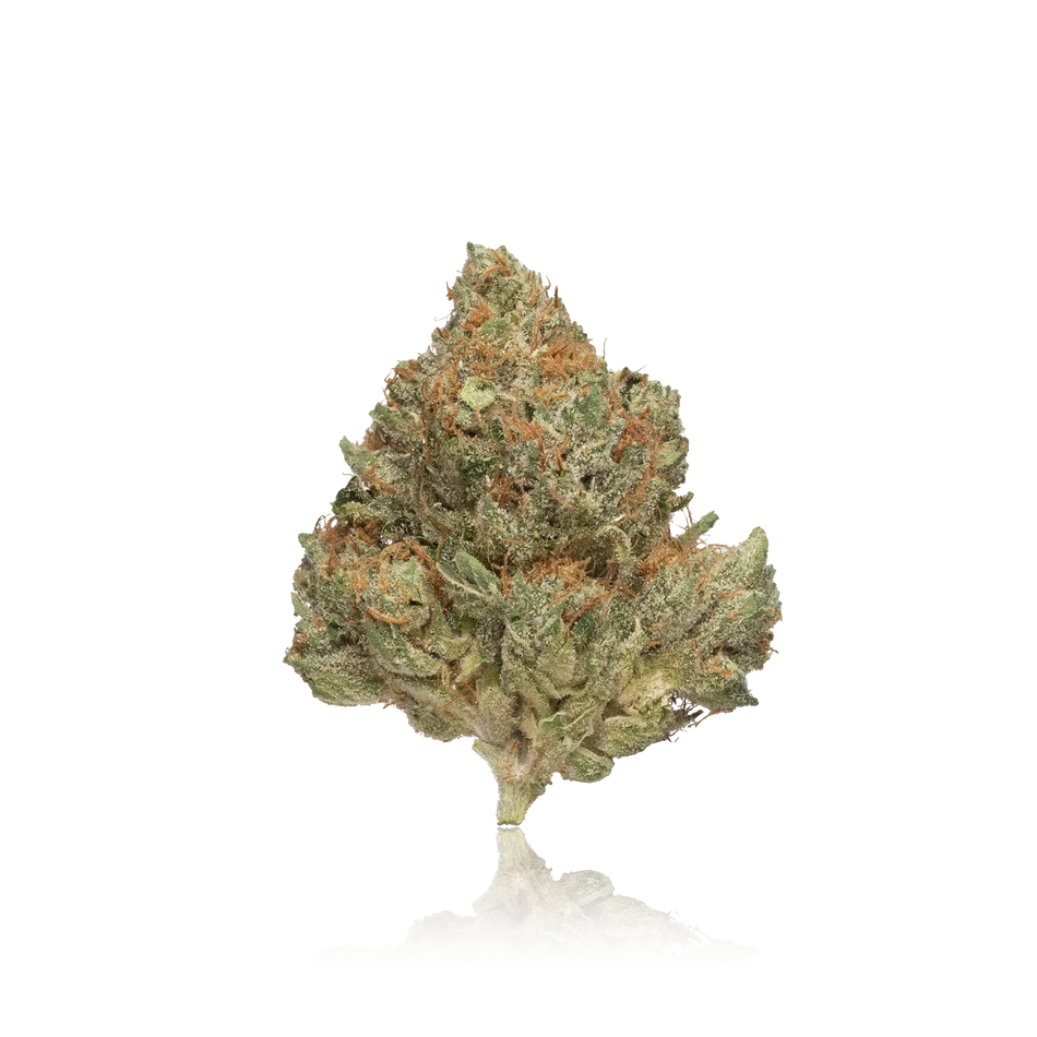 First Class Exotic Flower