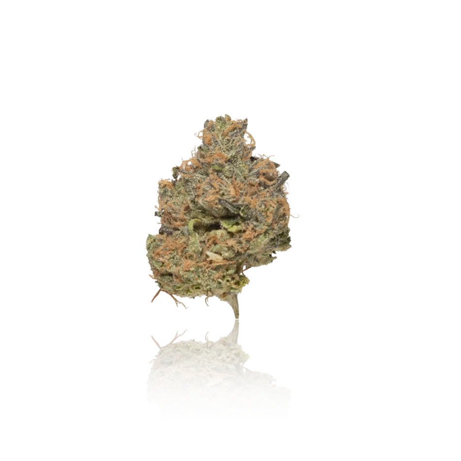 Persy Premium Flower